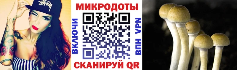 Галлюциногенные грибы мухоморы  Купить  Таруса 